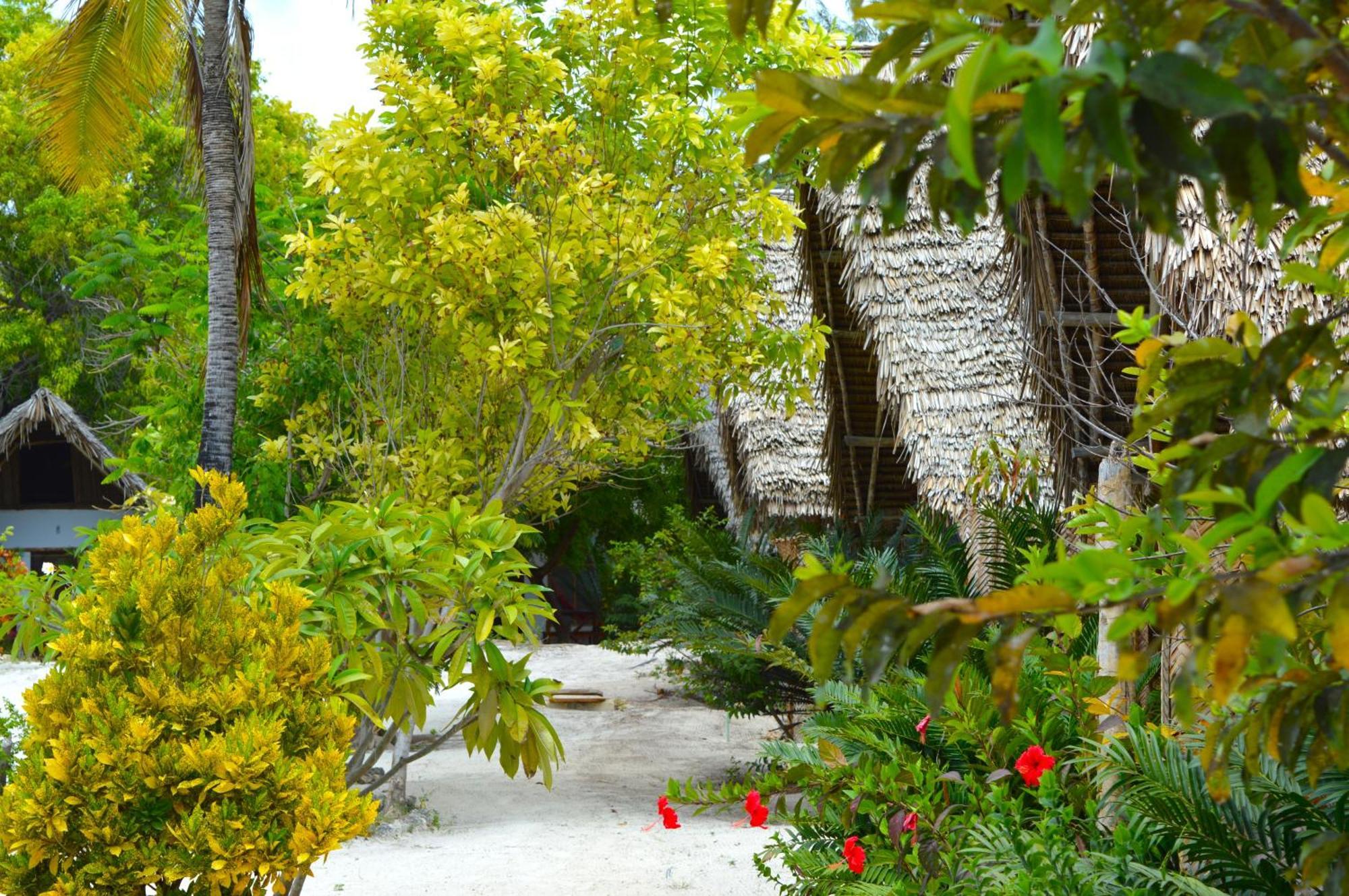 New Jambo Bungalows باجي المظهر الخارجي الصورة