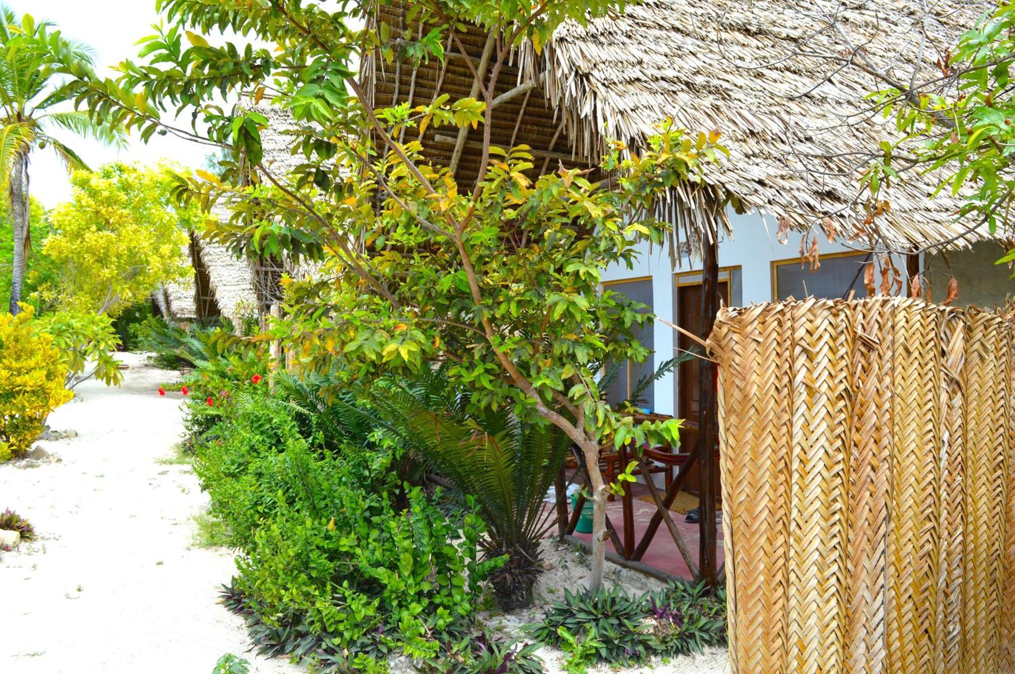 New Jambo Bungalows باجي المظهر الخارجي الصورة