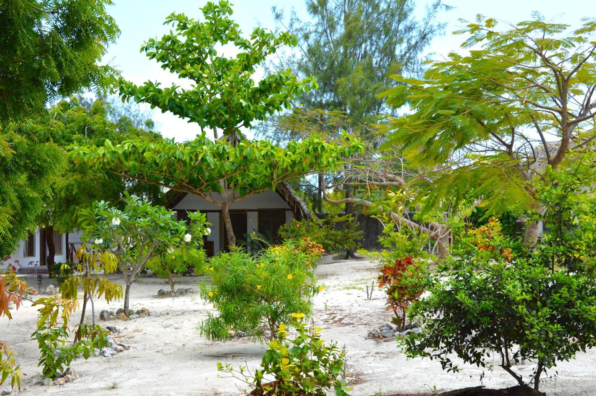 New Jambo Bungalows باجي المظهر الخارجي الصورة