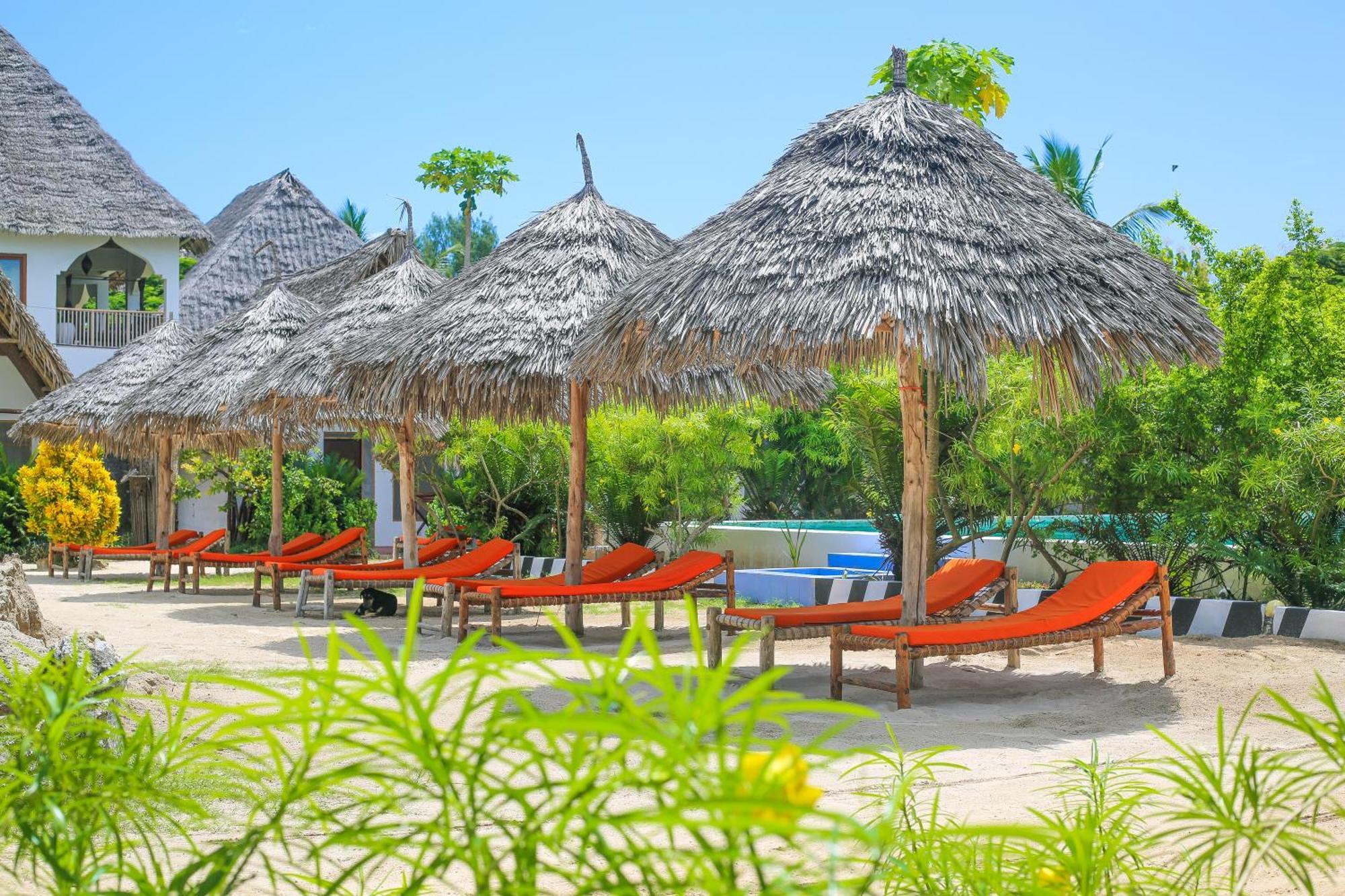 New Jambo Bungalows باجي المظهر الخارجي الصورة